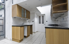 Brockley kitchen extension leads